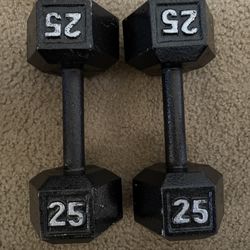 25lb Dumbbells 
