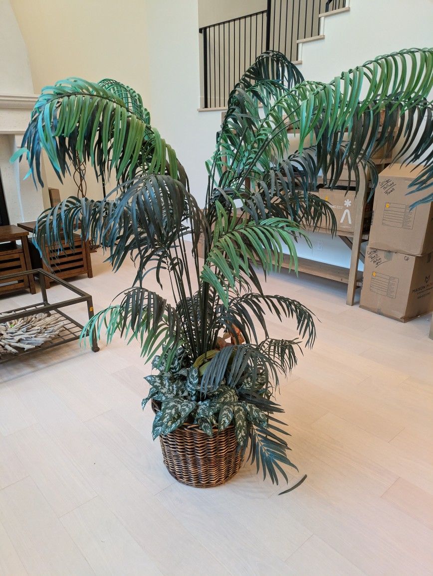 Free - Fake Tropical Tree In Basket (6ft)