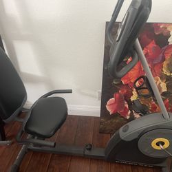 Golds Gym Bike