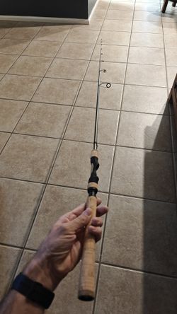 Fenwick Techna PX spinning rod