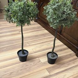 Topiary trees 35”