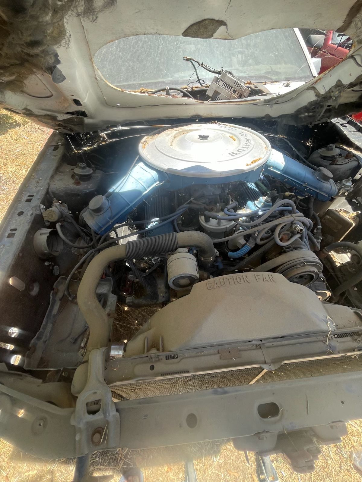 1983 Ford Mustang