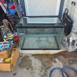 50 Gallon tank!