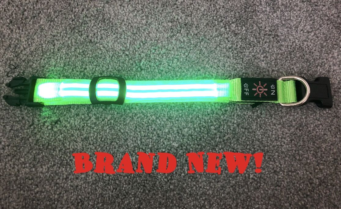 Light Up Dog Collar (Brand New)