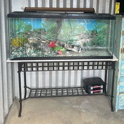 50 Gallon Fish Tank 