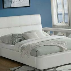 Queen Bed frame - Liquidation