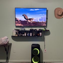 Tv And Speaker