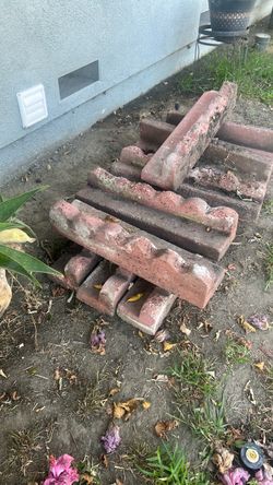Brick edging FREE