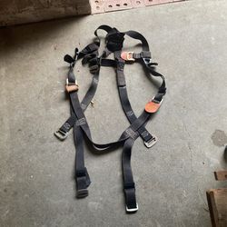 FallTech Harness 