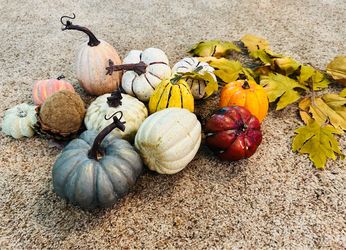Assorted Decorative Pumpkins and Fall Foliage