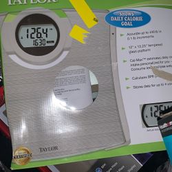 Taylor Digital Scale 