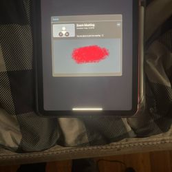 Apple iPad 10.9 Inch Pink 