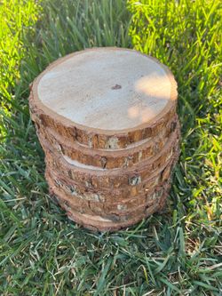 Wood Slices (Center Pieces)