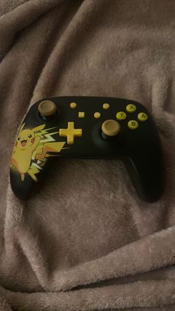Nintendo controller with case