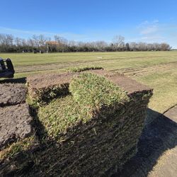 St Agustine Grass Pallets 