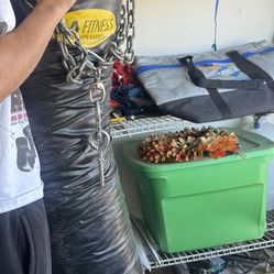 Punching Bag 