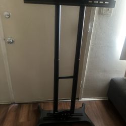 Standing Tv Mount (gently used) $25
