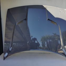 2015 2016 2017 2018 2019 2020 2021 2022 2023 DODGE CHALLENGER HOOD