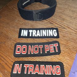 In Training / Do Not Pet Collar 