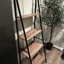 Ladder Shelf