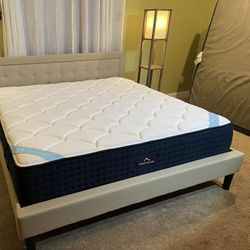 Dream Cloud Excellent Condition Queen Sized Hybrid Mattress 