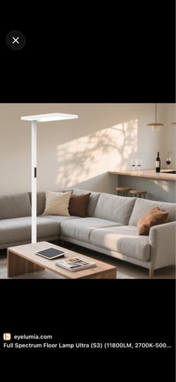Full Spectrum Floor Lamp