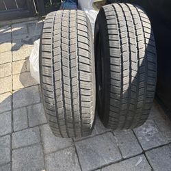Michelin Tires 