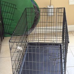 Medium size cage for dogs