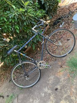Fuji Royal 12 SPEED Bicycle