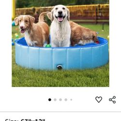 Dog Pool - New $65