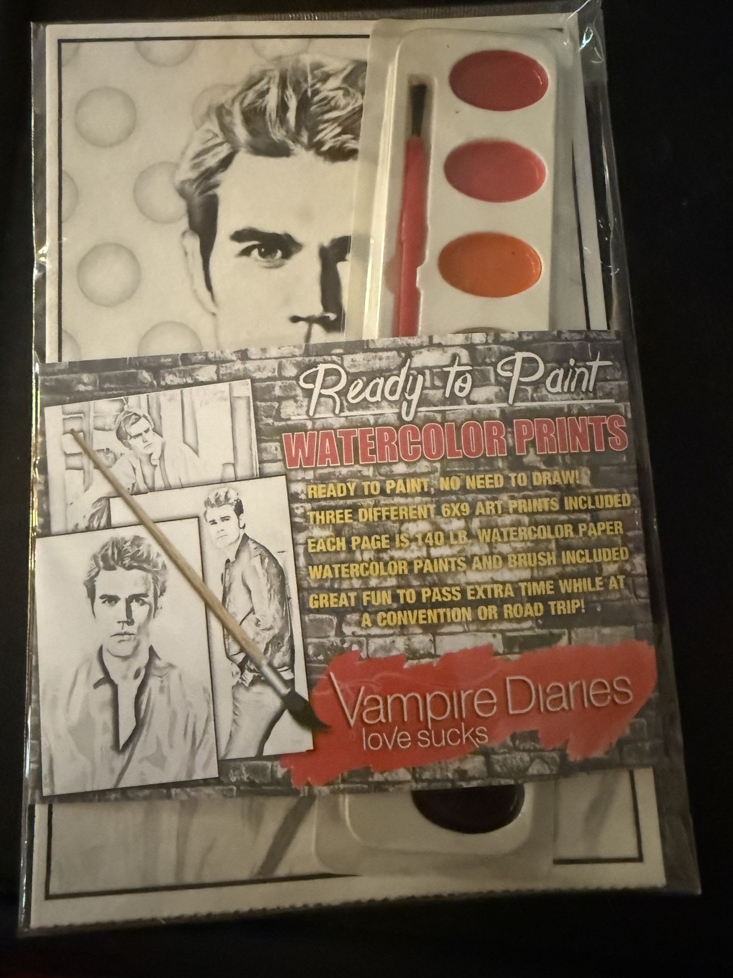 The Vampire Diaries Stefan Salvatore Ready To Paint Watercolor Prints Set Of 3 In Package. Brand New