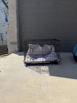 Medium size w/adjustment for small size dog