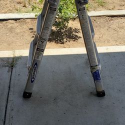 Werner Ladder 