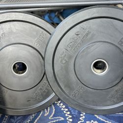 Olympic Bumper Plates
