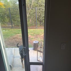 Dog Door NEED gone Today! 