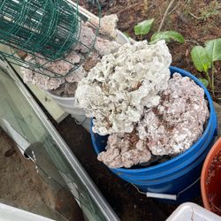 Coral rocks And send from refer aquarium