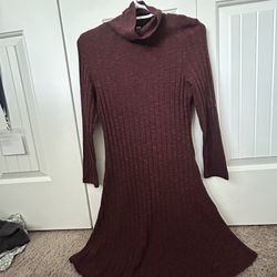 Long Turtle Neck Dress