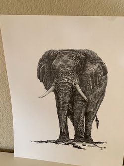 Animal Prints. 10 Prints.