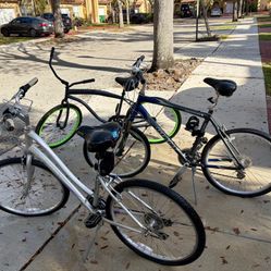 Adult Bicycles