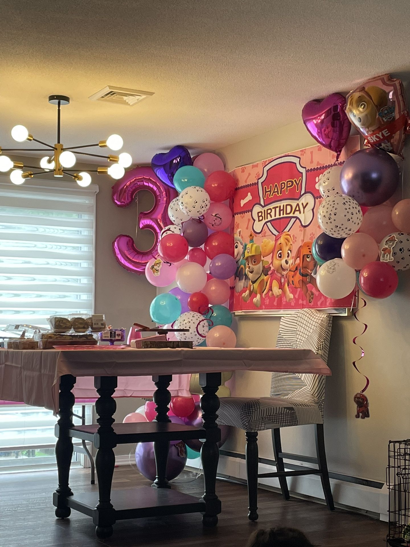 Skye Paw Patrol Birthday Items 