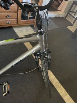 Schwinn Fordham large frame