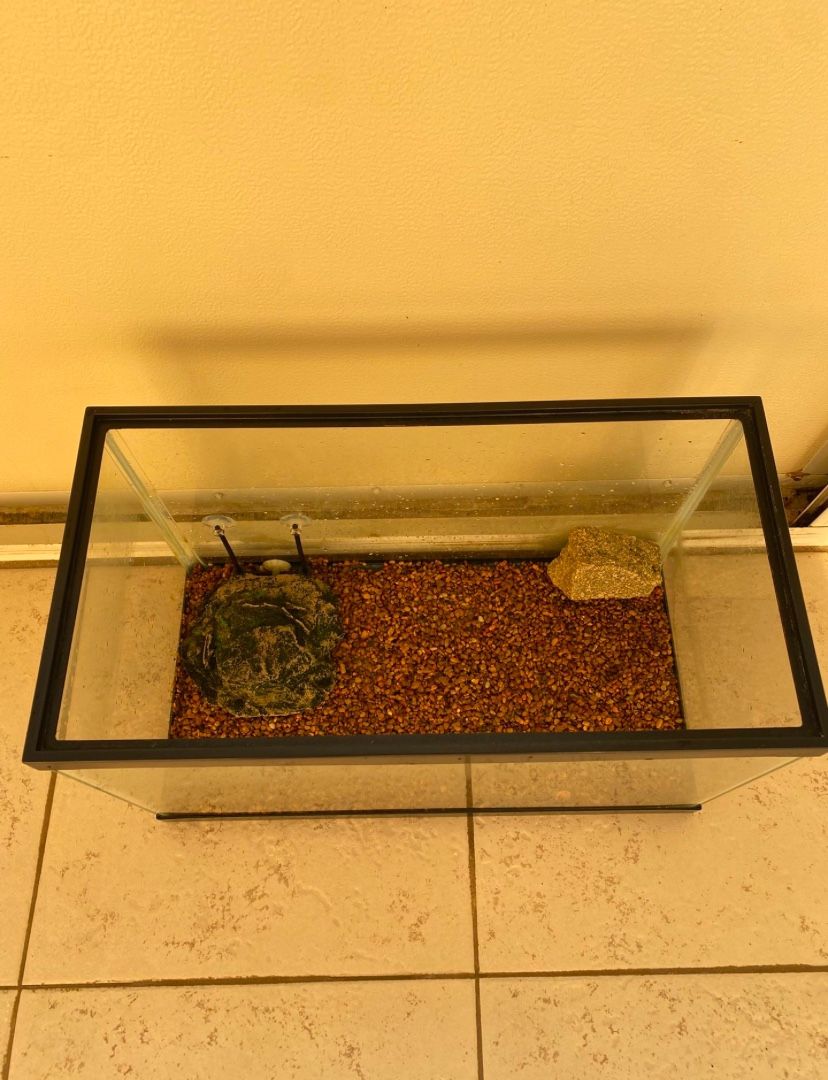 Fish Tank