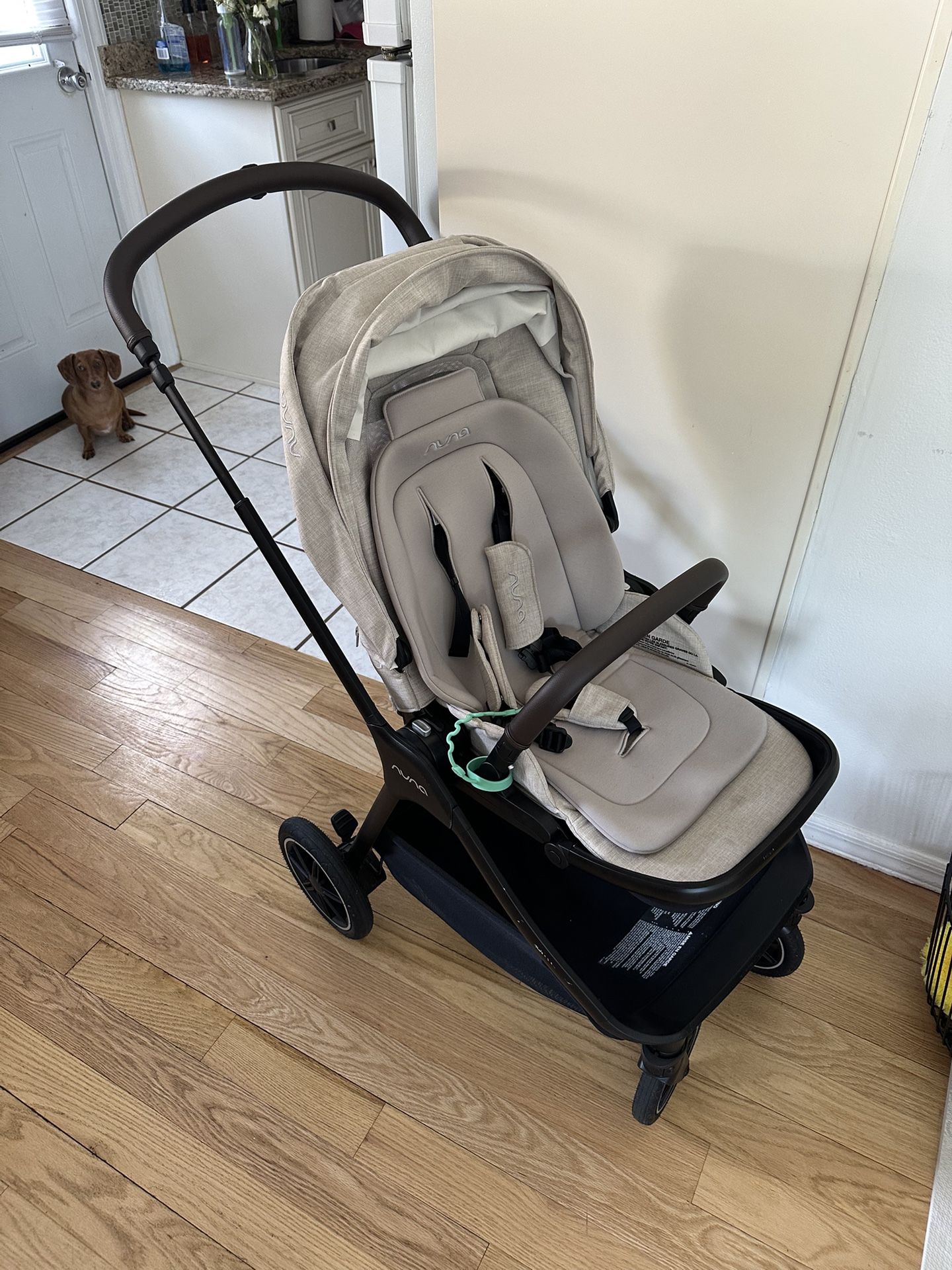 Nuna Stroller