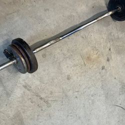 Curl Bar With Weights 