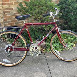Men’s Open Road 12-Speed Bicycle 