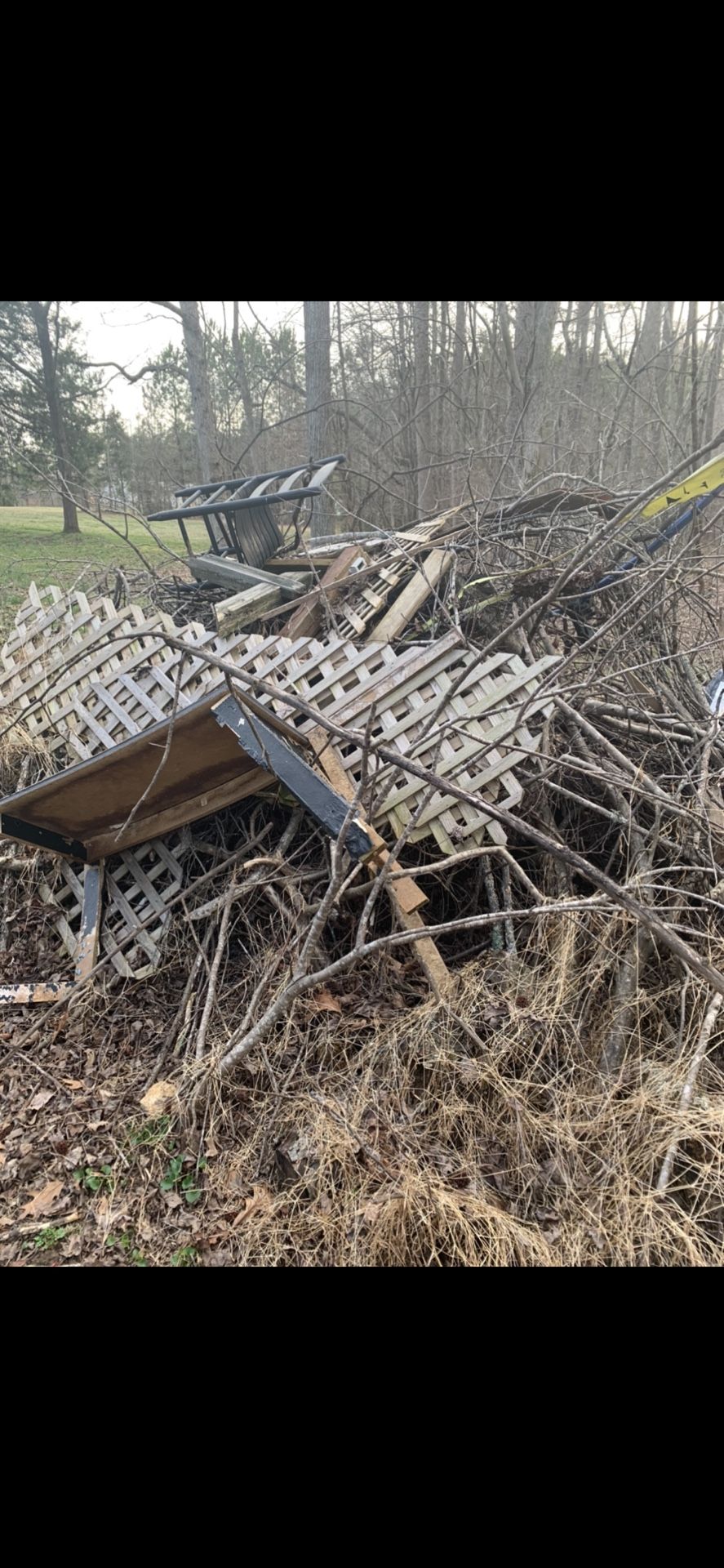Hauling/Junk removal