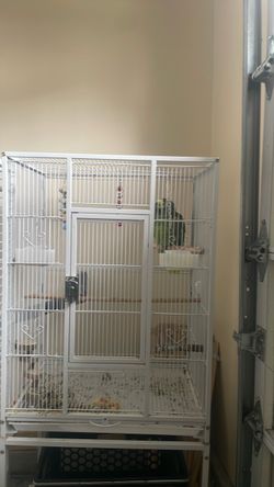 Parrot cage