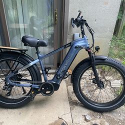 Mokwheel E Bike 