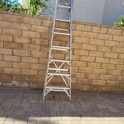 Ladder 8ft. aluminum 