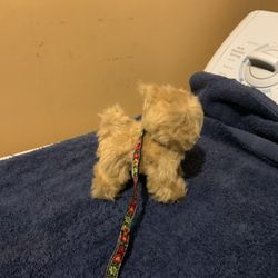 American Girl Julie’s Terrier Dog For An 18” Doll